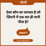 Funny Paheliyan in Hindi with Answer